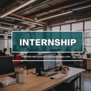 Internship